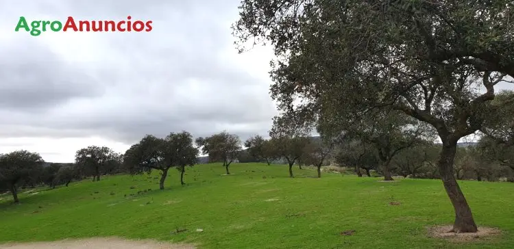 Venta  de Finca ganadera en Badajoz