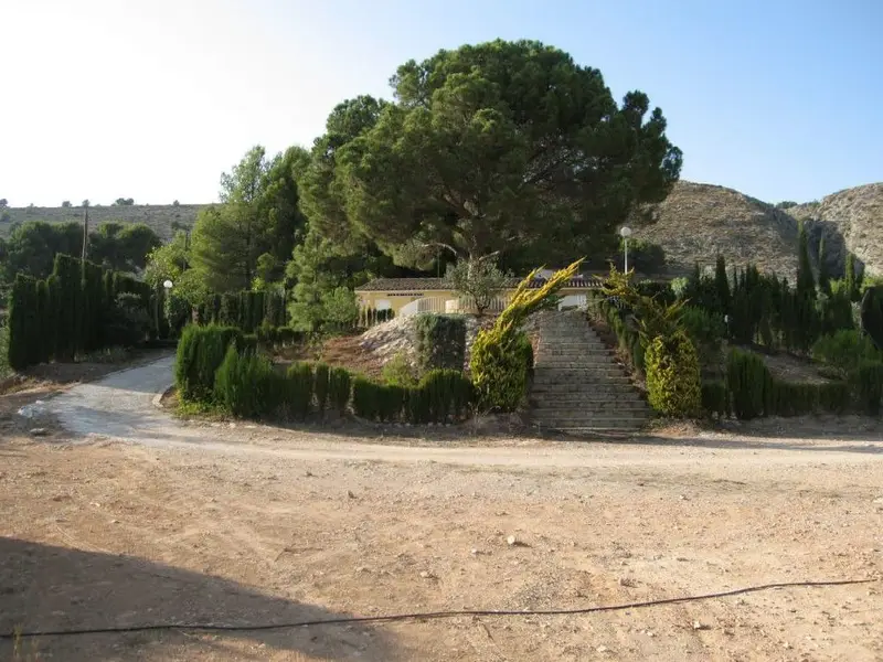 Venta Finca Buenas Vistas Ibi RP1844