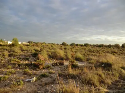 Venta Parcela Lloma del Mas Betera 773m2