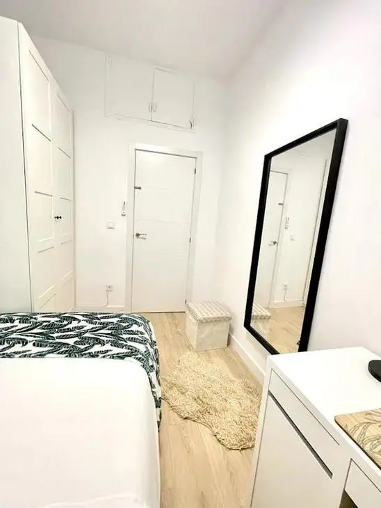 Apartamento 1 Dormitorio Madrid Centro