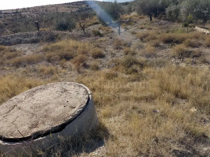 Terreno en Venta Santa Maria de Nieva Almeria con Olivos y Almendros