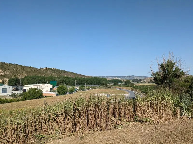 Venta Terreno 25834m² Jayena Gran Oportunidad