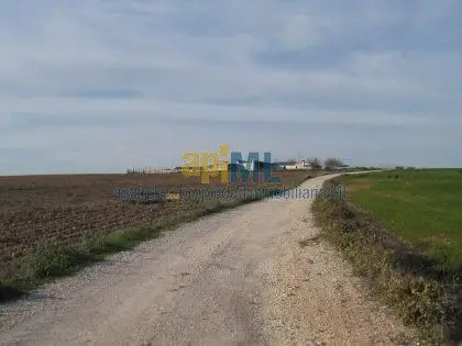 Venta Finca 400 Hectareas Cadiz Subvencion 330 Euros Ha S1579