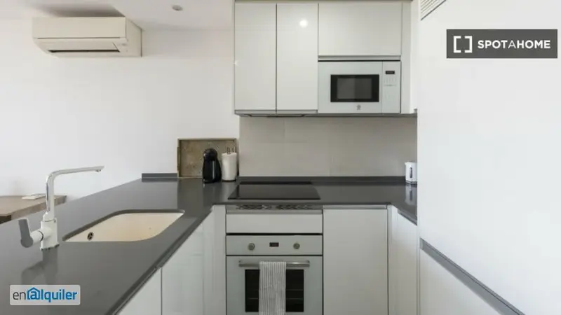 Apartamento 1 Dormitorio Nueva Espa	Madrid Amueblado