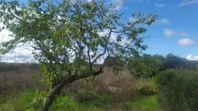 Chalet en Alquiler con Opcion a Compra Castro Ponce