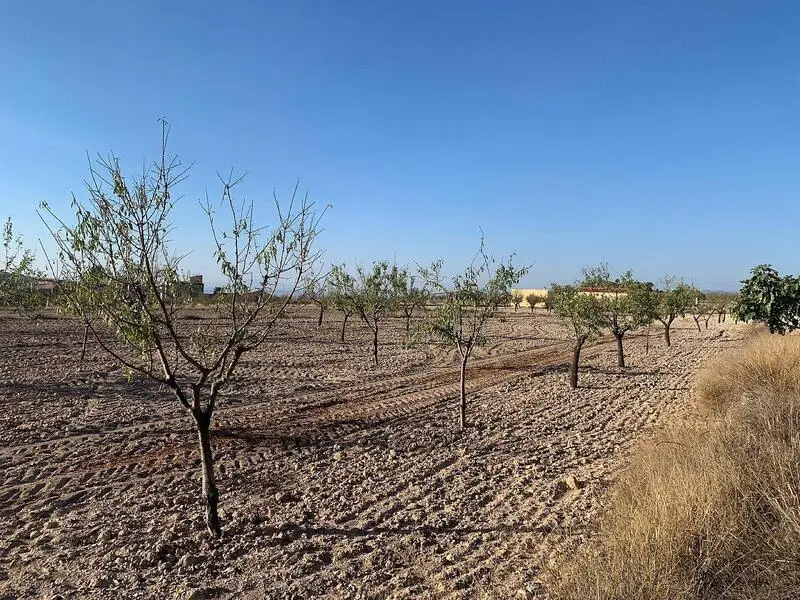 Solar Edificable 7200m2 Macisvenda Murcia