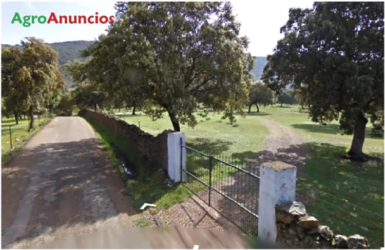 Venta  de Finca con casa y cobertizo para animales en Badajoz