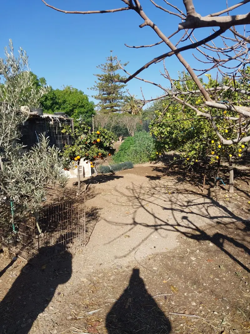 Venta Parcela Rustica Mutxamel 1700m2