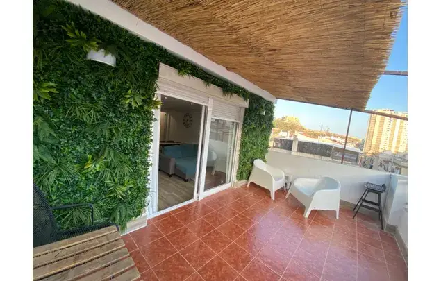 Alquiler Apartamento 3 Dormitorios Alicante Centro Playa Universidad