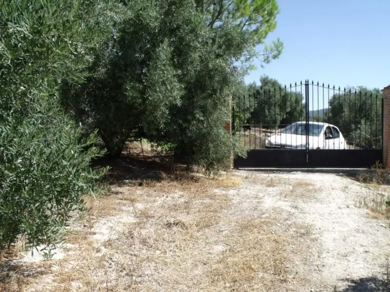 Finca Rustica en Venta Olvera