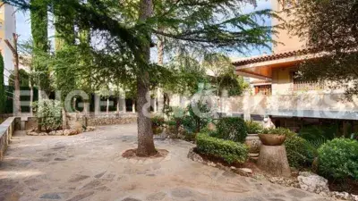 Chalet de Lujo en Figueres con Piscina y Gimnasio