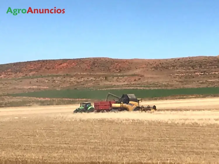 Venta  de Fincas rústicas de cereal y girasol en Soria