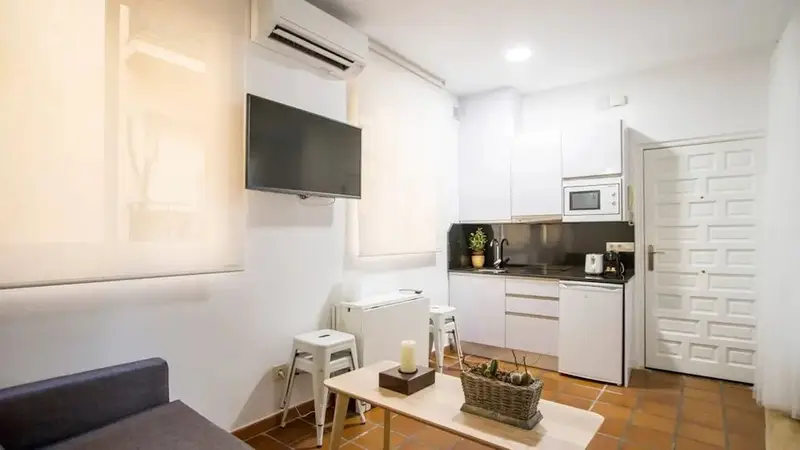 Apartamento 1 Dormitorio Madrid