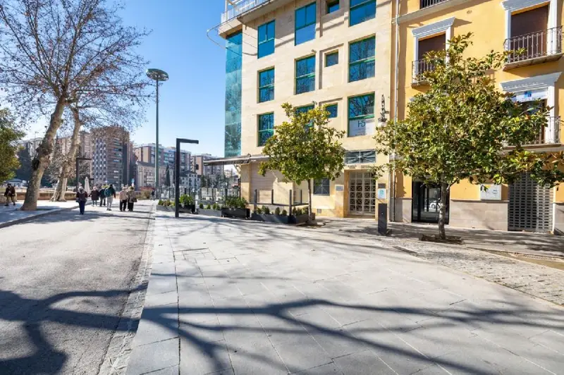 Venta Local Comercial Centro Granada