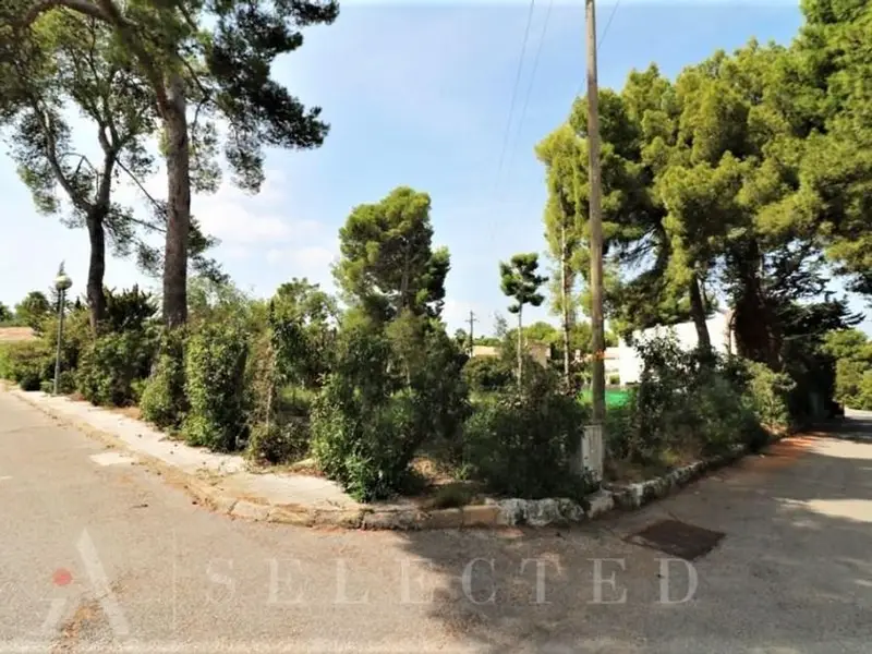 venta Terreno en Alcudia, Balears (Illes) (TEJ-PP0192_11)- Globaliza