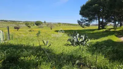 Finca Rustica en Cartaya con Piscina y Gran Jardin