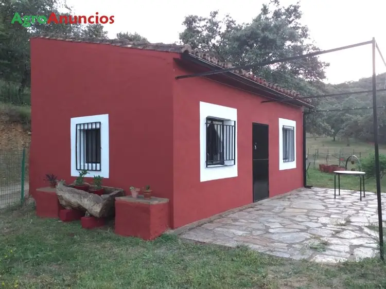 Venta  de Finca ganadera con casa en Cáceres