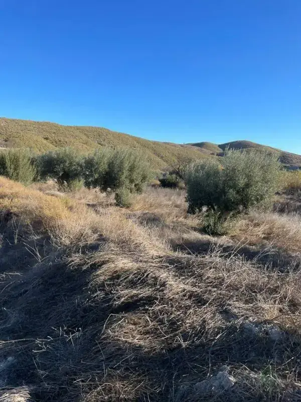 Cortijo con Granja Ecológica cerca de Lorca