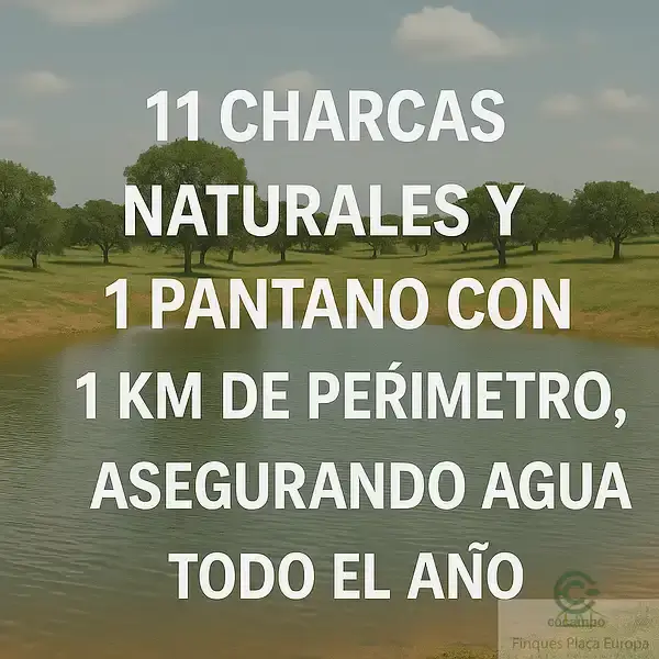 Finca Ganadera 376 Hectareas Cerca de Caceres