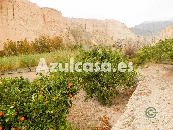 Finca Rustica con Varias Casas y Vistas Espectaculares en Jijona