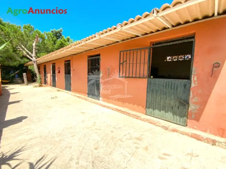 Venta  de Finca con establos, 3 casas y zona de bar en Málaga