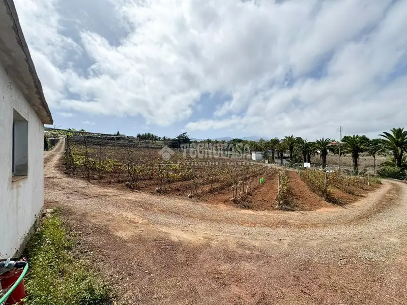 Casa rural en venta en Tacoronte