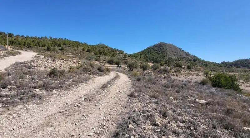 Terrenos en Venta Monovar Alicante