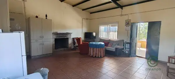Finca Rústica en Gibraleón con Olivos