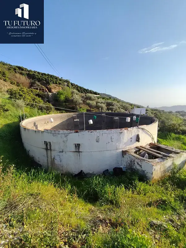 Finca Rustica Torrox 22214m2 Aguacates Mangos Vistas al Mar