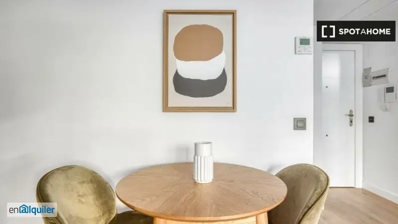 Apartamento 1 Dormitorio Madrid Amueblado Planta Baja