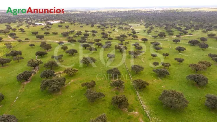 Venta  de Finca con dehesa en Cáceres