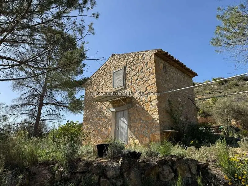 Parcela Rustica en Vinebre con Masia y Olivos Centenarios