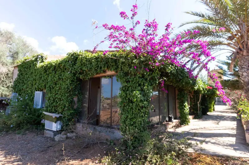 Finca Rustica en venta Mallorca Santanyi