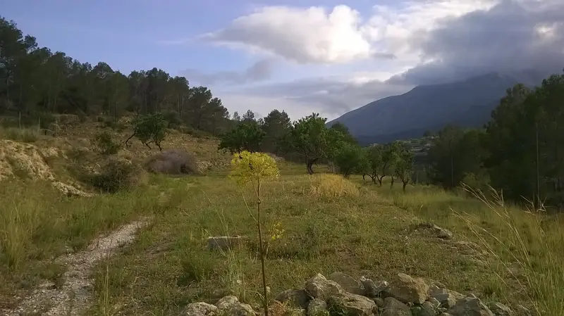 Terreno Rustico en Venta Benissa Cerca de Calpe