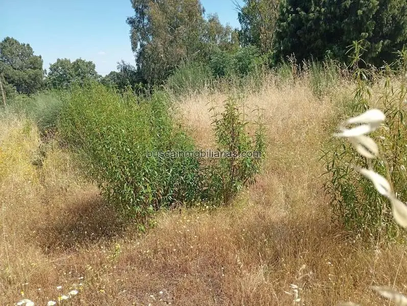 Parcela Urbana en Villanueva de la Vera 651m2 Vistas Montaña
