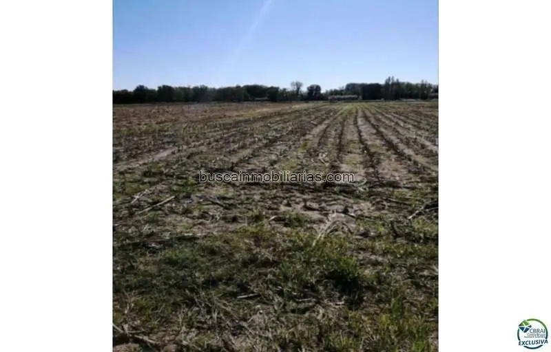 Parcela Agricola 4654m2 Castelló dEmpúries Inversión Agrícola