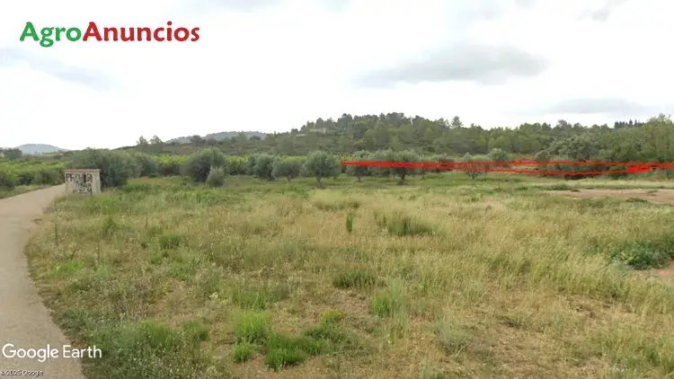 Venta  de Terreno agrícola de secano en Valencia