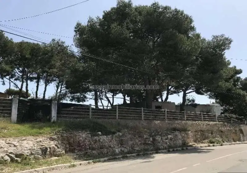 Parcela Rustica en Venta Cunit 1833m2 Edificable 3049m2