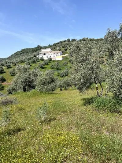 Cortijo de Lujo con 6 Dormitorios y Piscina en Venta