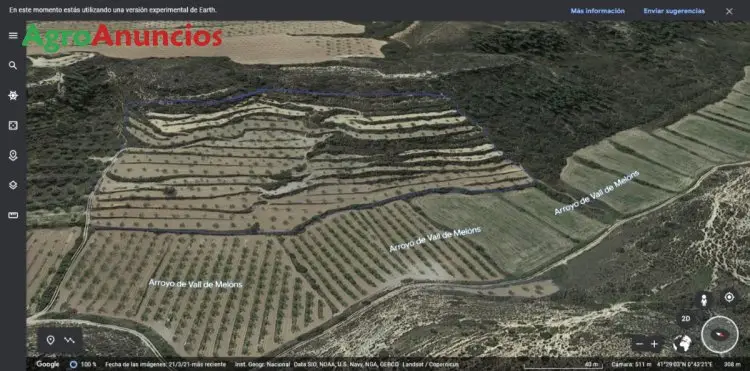 Venta  de Finca de olivos en Lleida