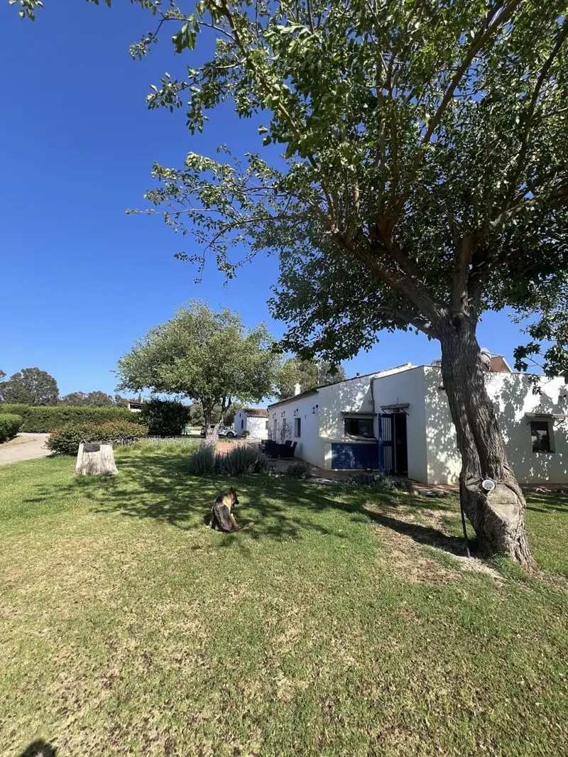 Finca Ecuestre de Lujo en Venta 4 Hectareas Jimena de la Frontera