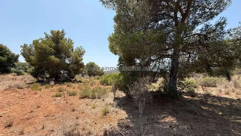 Parcela Rustica Sagunto 63297m2 placas solares