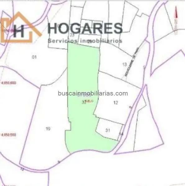 Parcela en Venta en Gondomar: Finca Urbana con Ruinas y Arboleda
