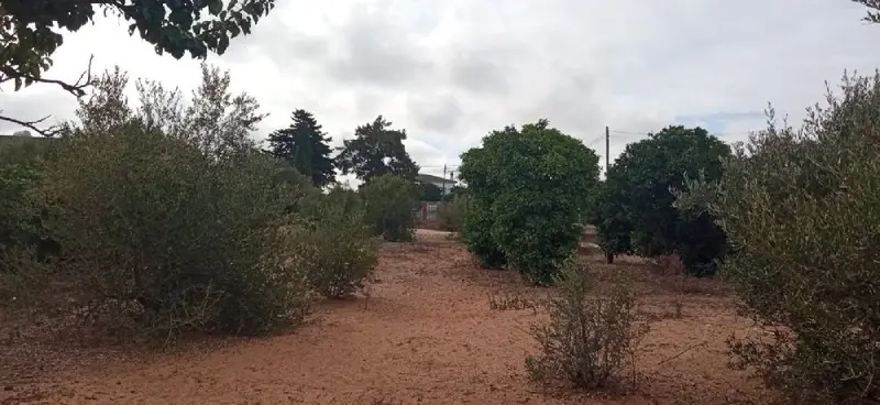 Casa en Marquesado Chiclana de la Frontera 4327m2 5 dormitorios