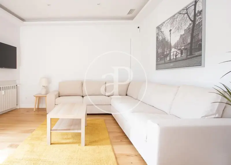 Apartamento 140m2 Amueblado Madrid Centro 3 Habitaciones 2 Baños