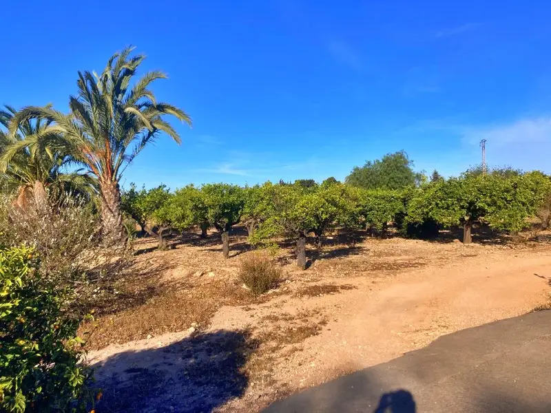 Venta Finca Rustica 2 habitaciones Elche