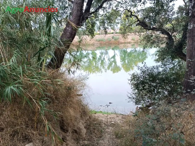 Venta  de Finca de regadío en Tarragona