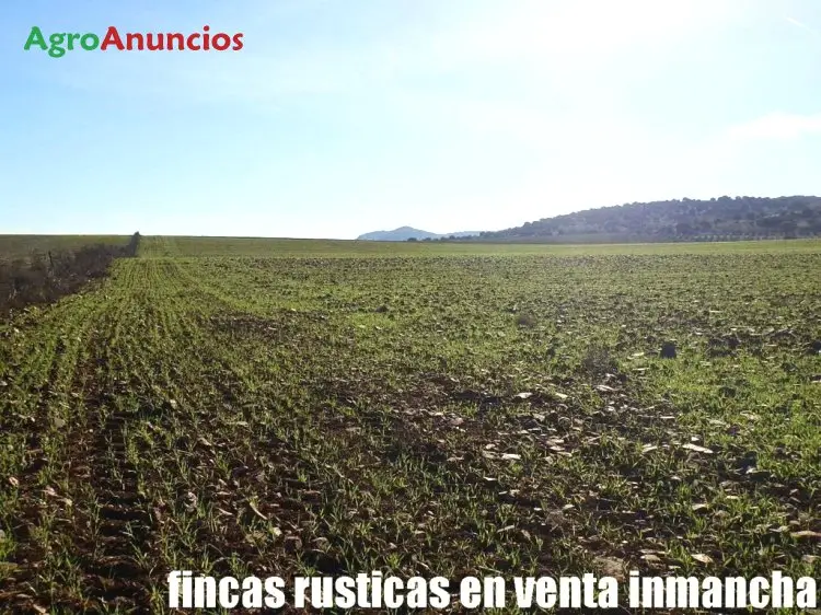 Venta  de Finca de regadío en Ciudad Real