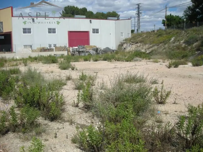 Venta Solar Novelda 1269m2