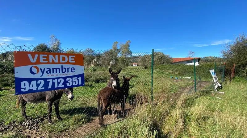 Venta Terreno 8 Viviendas Unifamiliares Renedo Piélagos